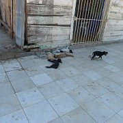 Baja2011 450 : Baja2011